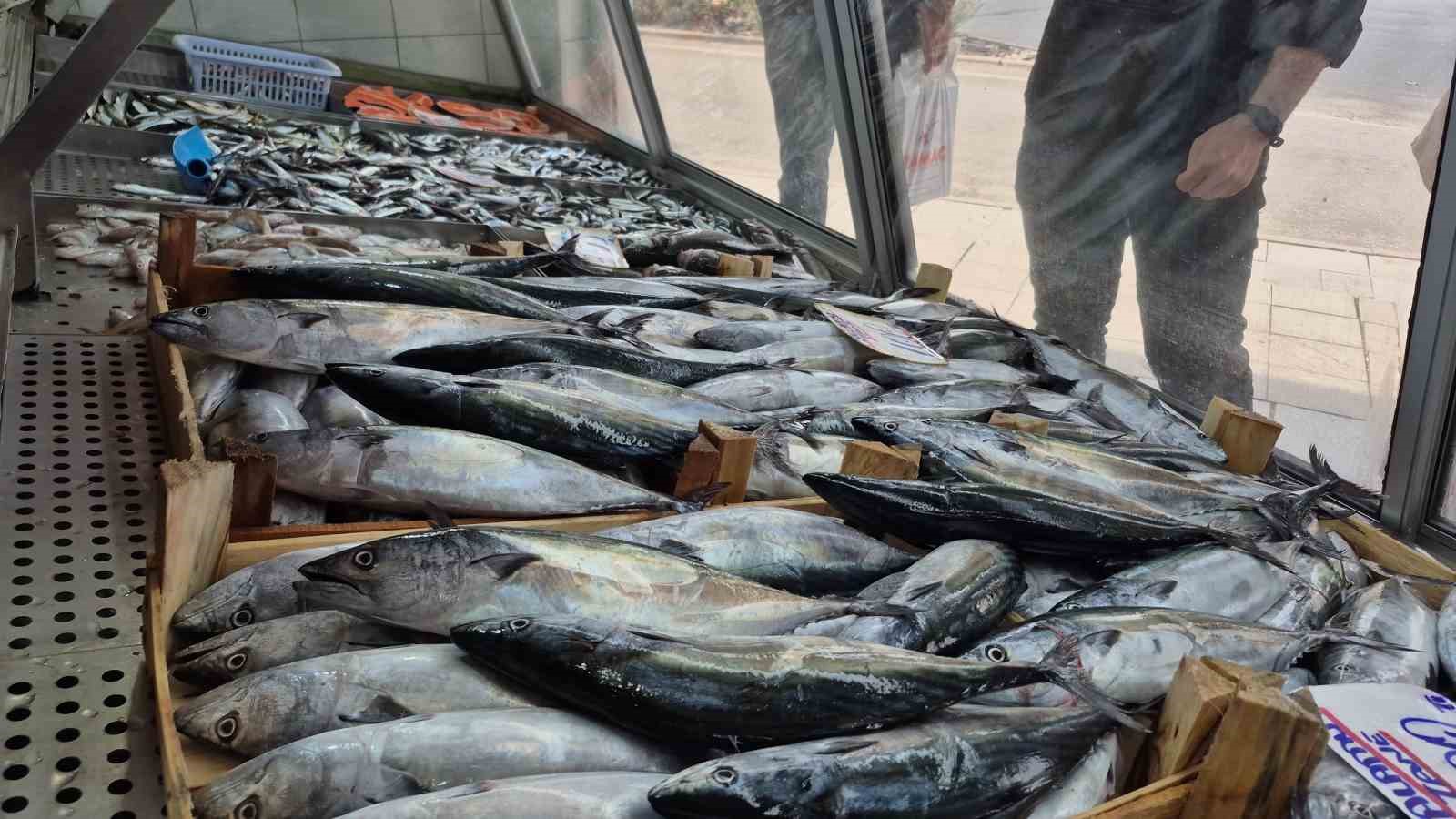 sezonun-gozdesi-palamut-ve-hamsi-tezgahlari-senlendirdi