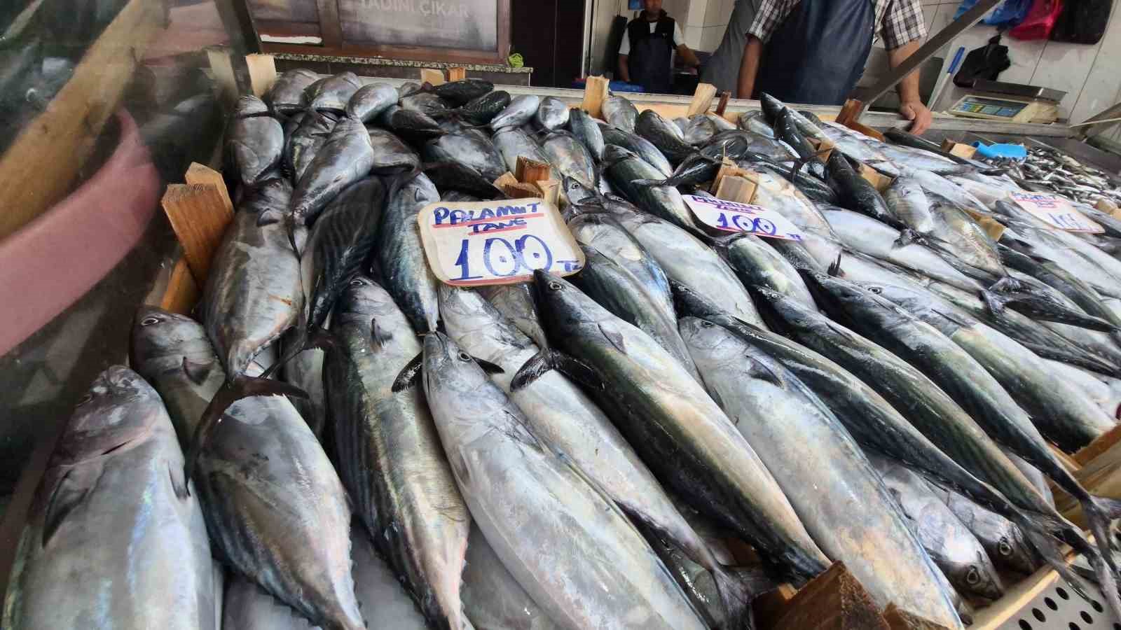 sezonun-gozdesi-palamut-ve-hamsi-tezgahlari-senlendirdi