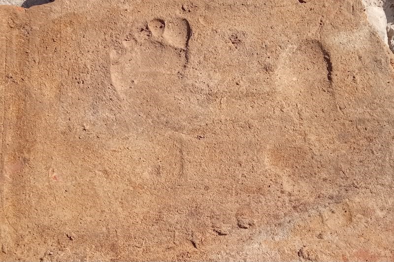stratonikeia-antik-kentinde-bin-900-yillik-cocuk-izleri-bulundu